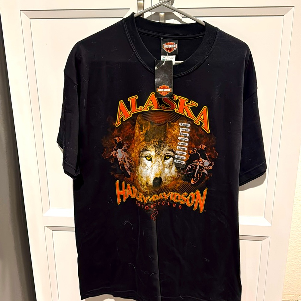 Harley Davidson with tags